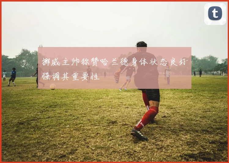挪威主帅称赞哈兰德身体状态良好强调其重要性